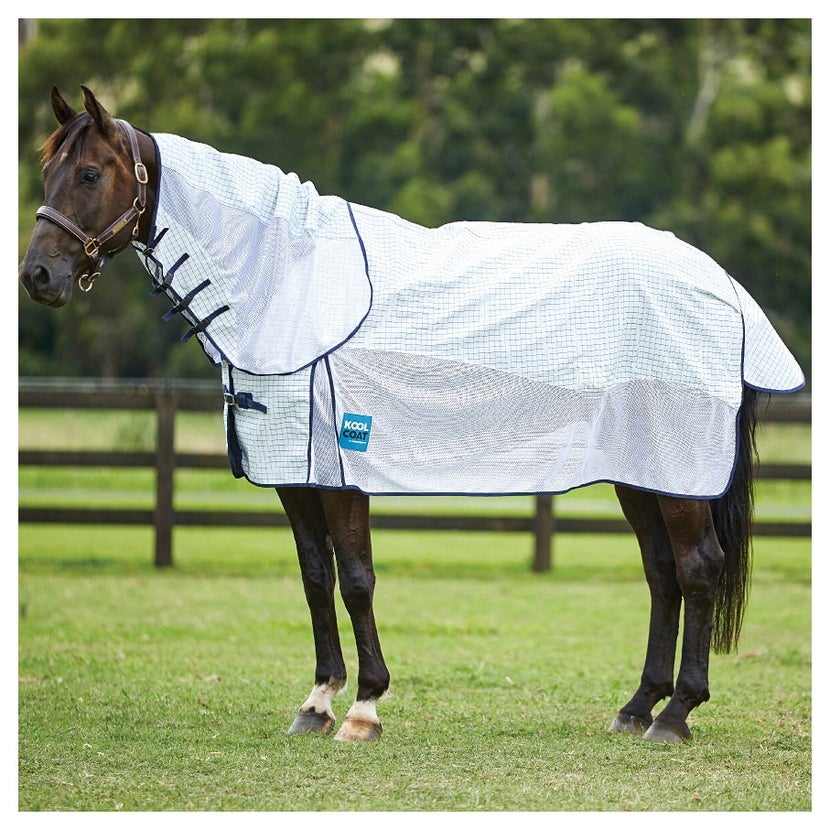 Dark bay horse wearing Kool Coat sheet in pasture. 